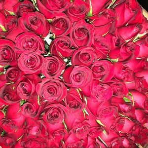 Meet your Posher, Dulce